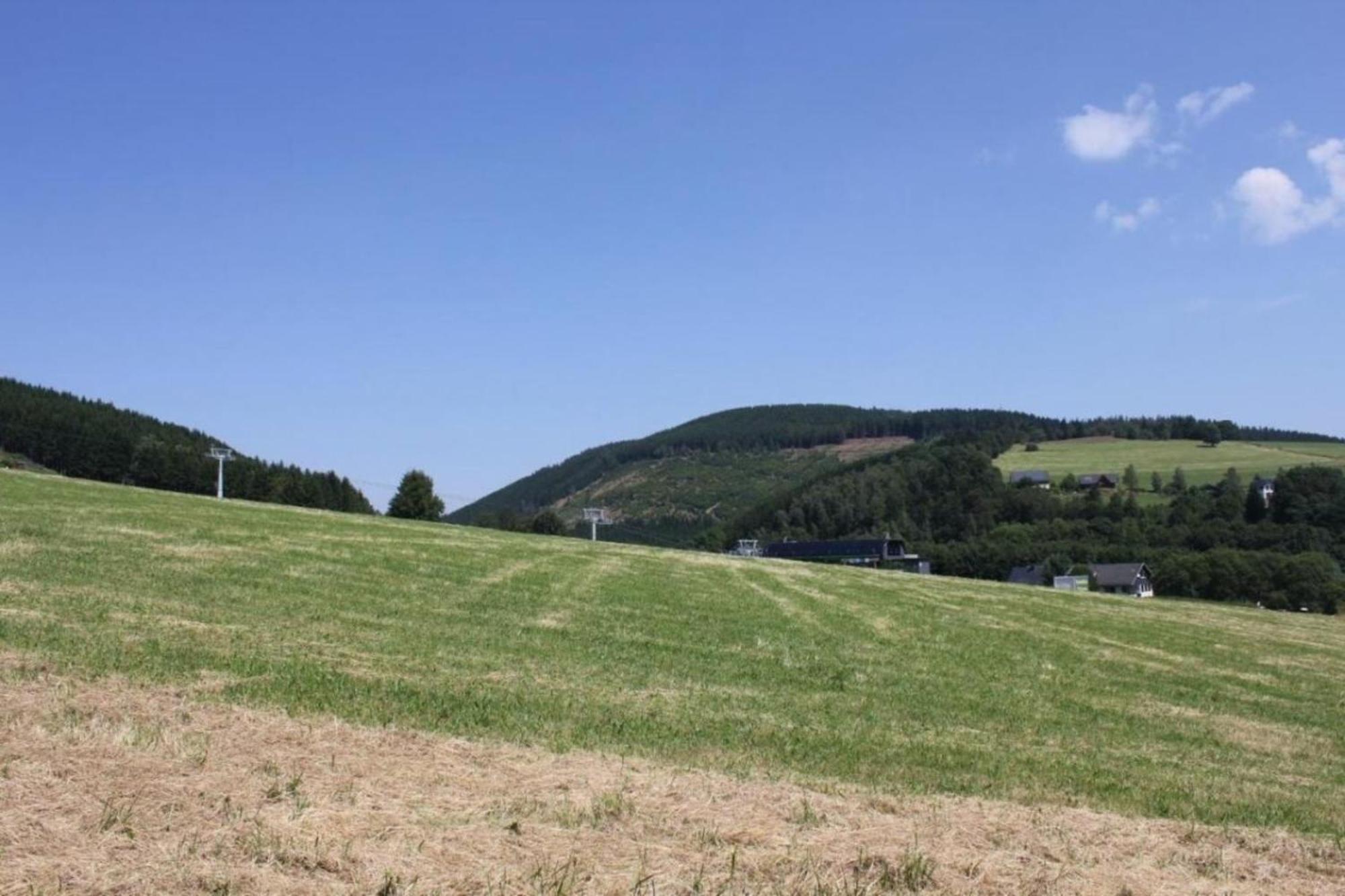 Ferien-Appartment 4 Willingen  Exterior foto
